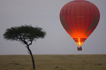 Hot Air Balloon
